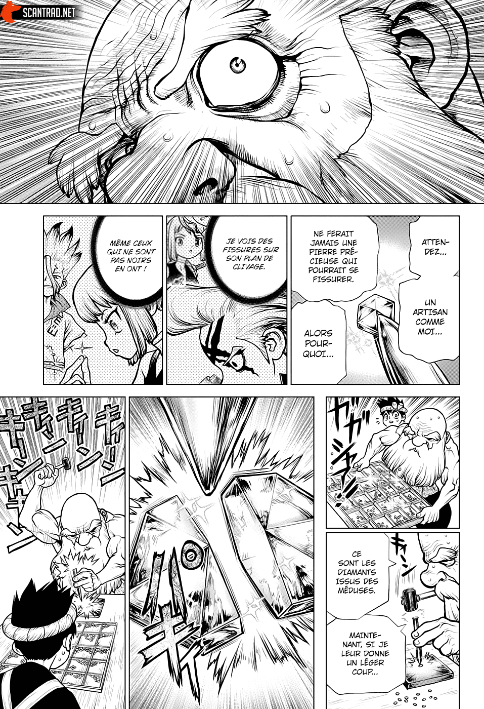  Dr. Stone Français - Dr. Stone 185 Joli clivage - 7