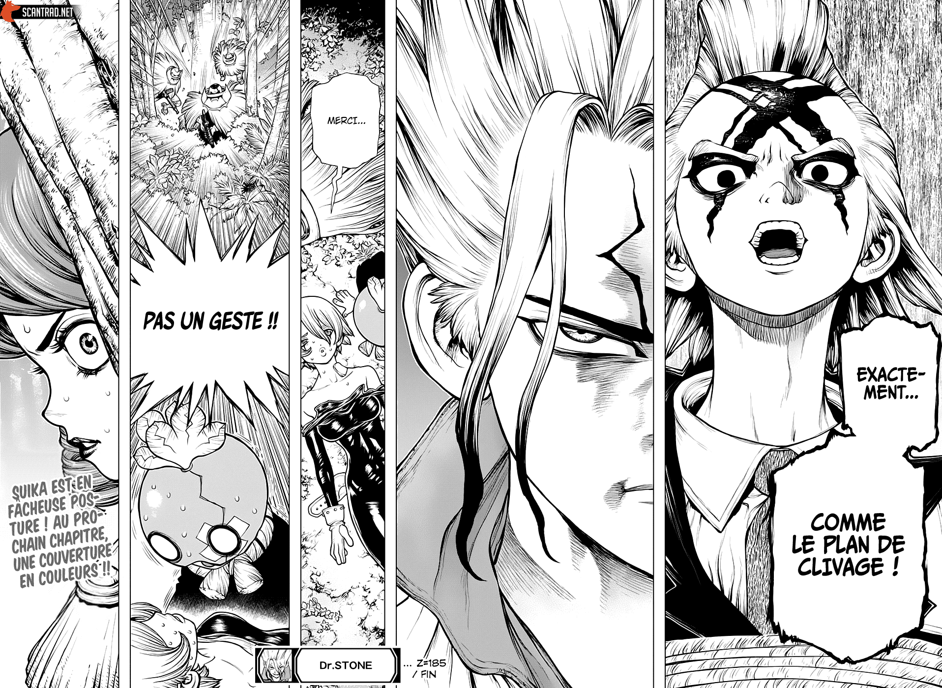  Dr. Stone Français - Dr. Stone 185 Joli clivage - 17