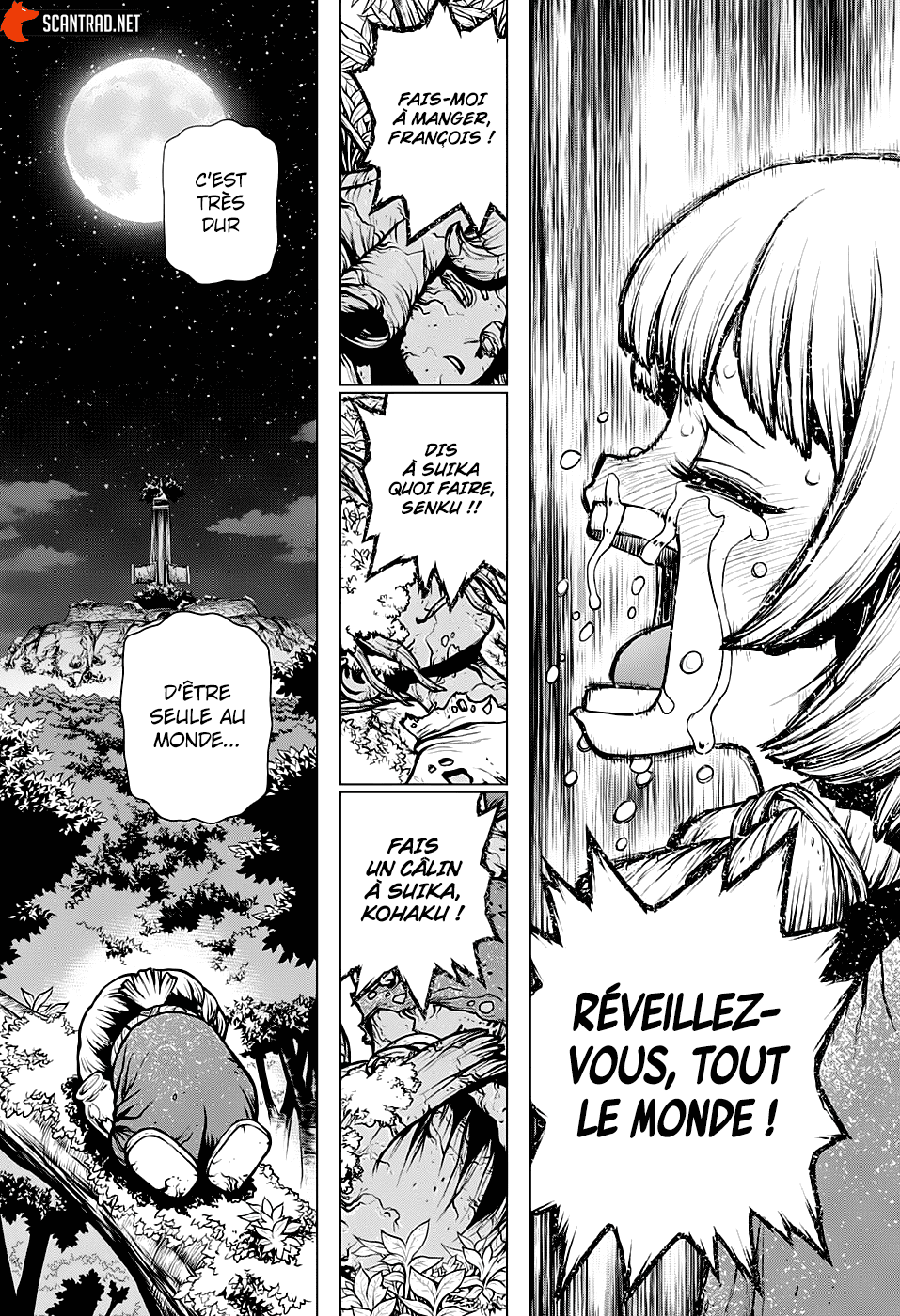  Dr. Stone Français - Dr. Stone 194 L'Homo sapiens solitaire - 13