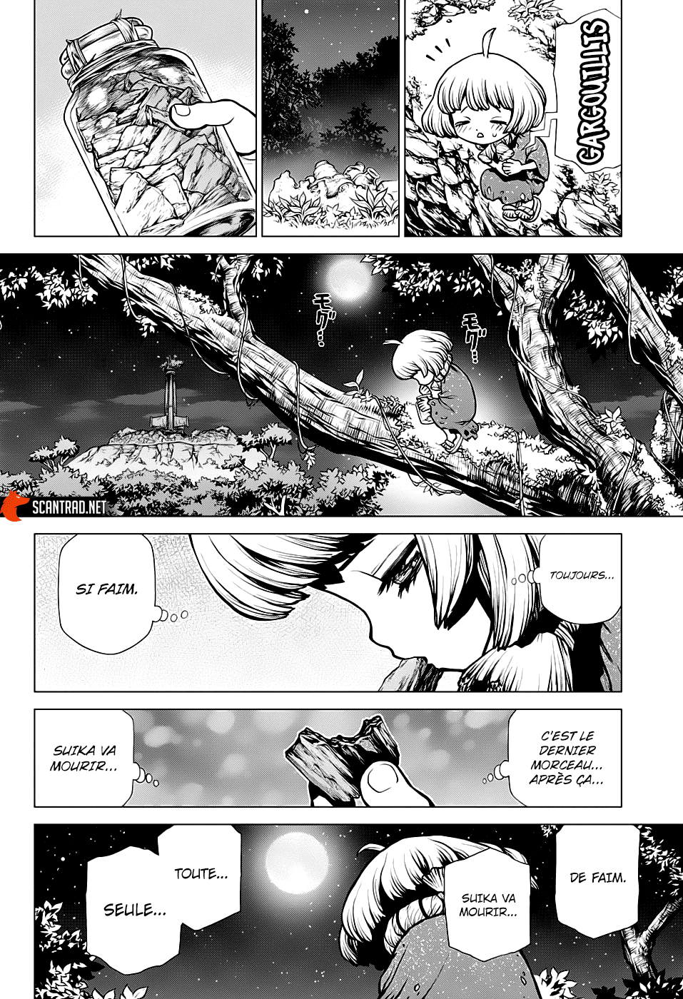  Dr. Stone Français - Dr. Stone 194 L'Homo sapiens solitaire - 11