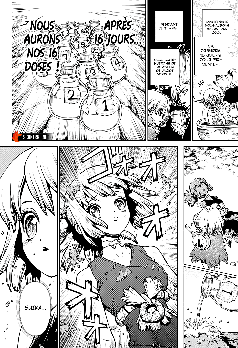  Dr. Stone Français - Dr. Stone 197 Éden de pierre et son fruit interdit - 4