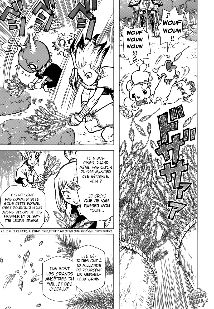  Dr. Stone Français - Dr. Stone 22 Survival Gourmet - 11