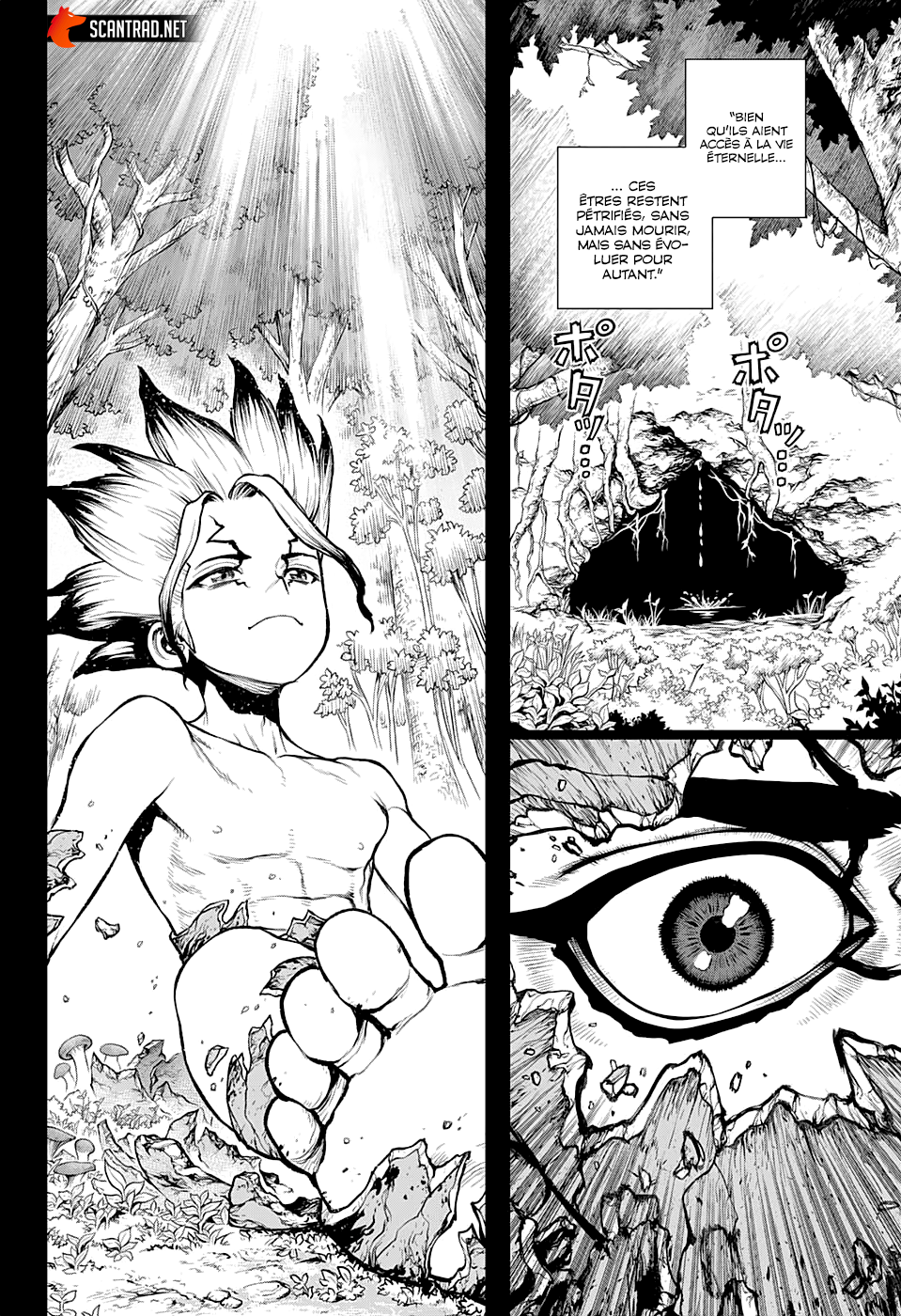  Dr. Stone Français - Dr. Stone 229 L'homme-pourquoi - 13