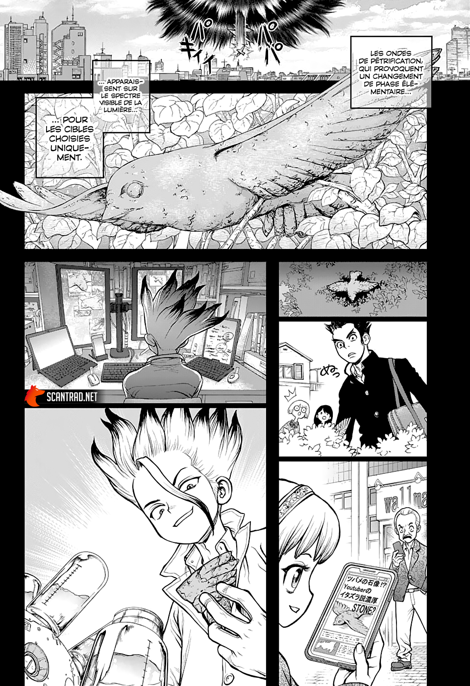  Dr. Stone Français - Dr. Stone 229 L'homme-pourquoi - 6