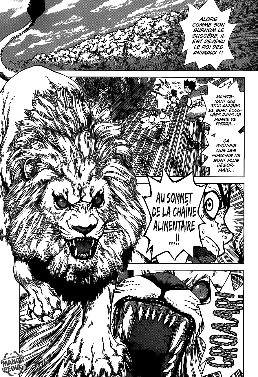  Dr. Stone Français - Dr. Stone 3 Le roi du monde de pierre - 7