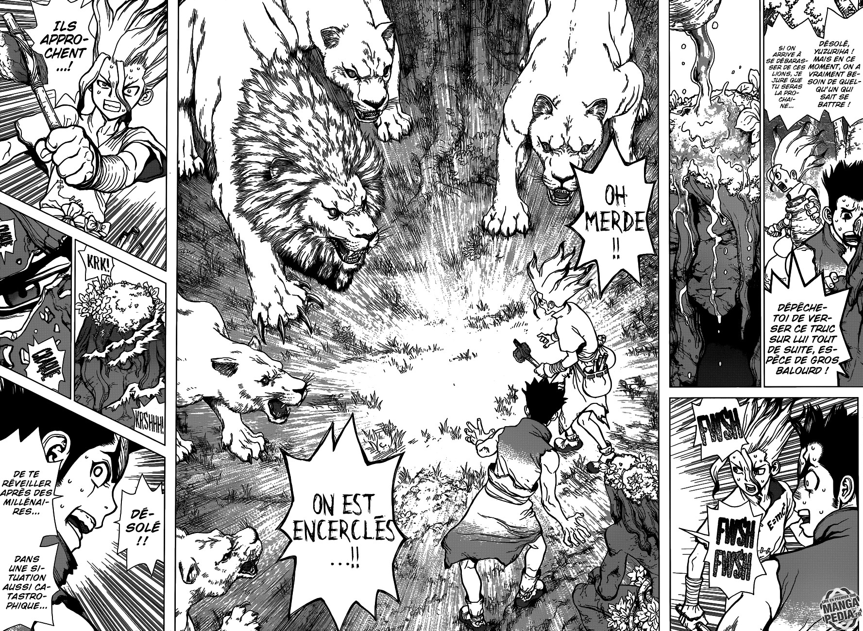  Dr. Stone Français - Dr. Stone 3 Le roi du monde de pierre - 14