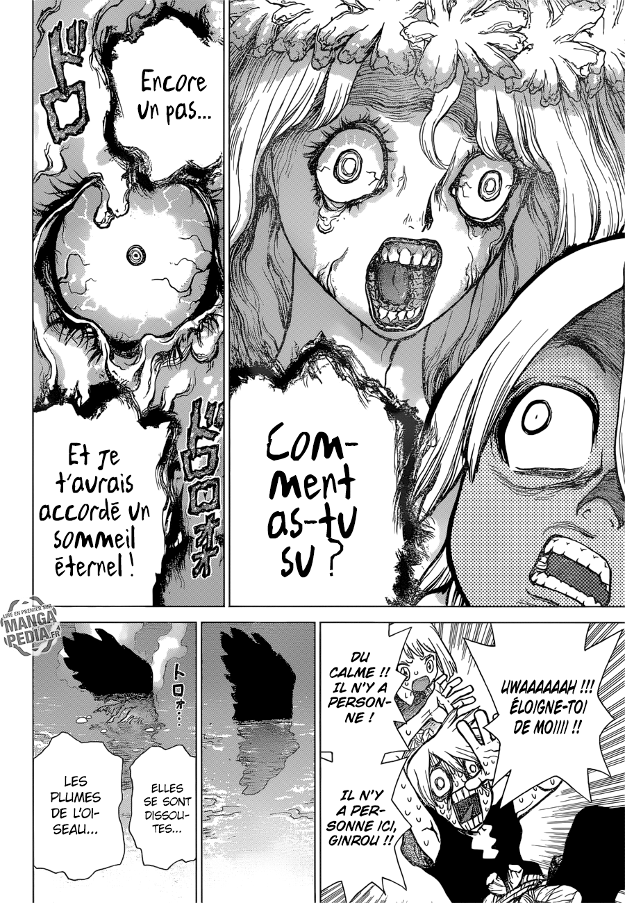  Dr. Stone Français - Dr. Stone 30 Death green - 13