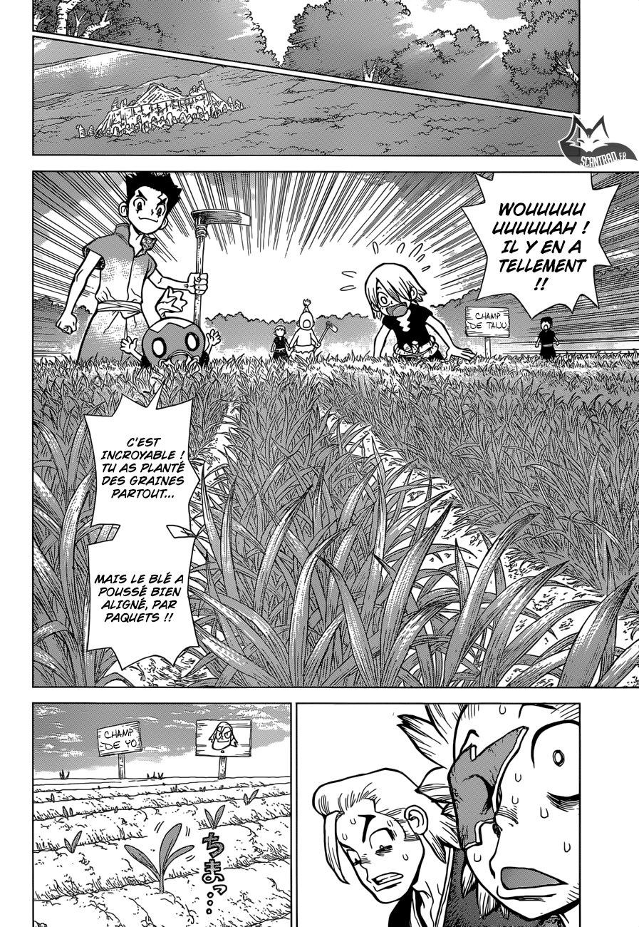  Dr. Stone Français - Dr. Stone 91 S'ils n'ont pas de pain, qu'ils en fassent avec du blé !! - 11