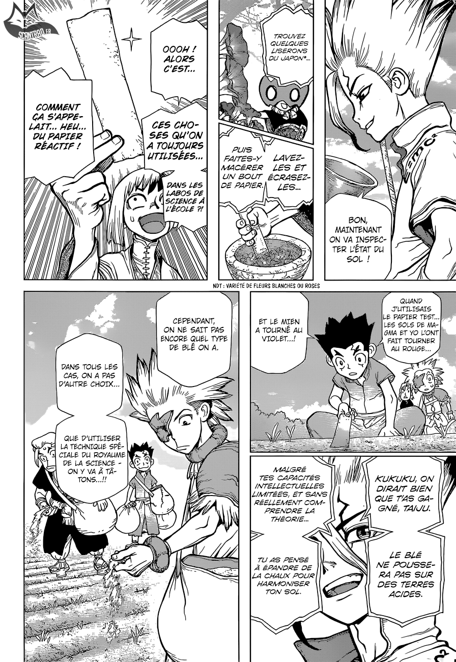  Dr. Stone Français - Dr. Stone 91 S'ils n'ont pas de pain, qu'ils en fassent avec du blé !! - 13