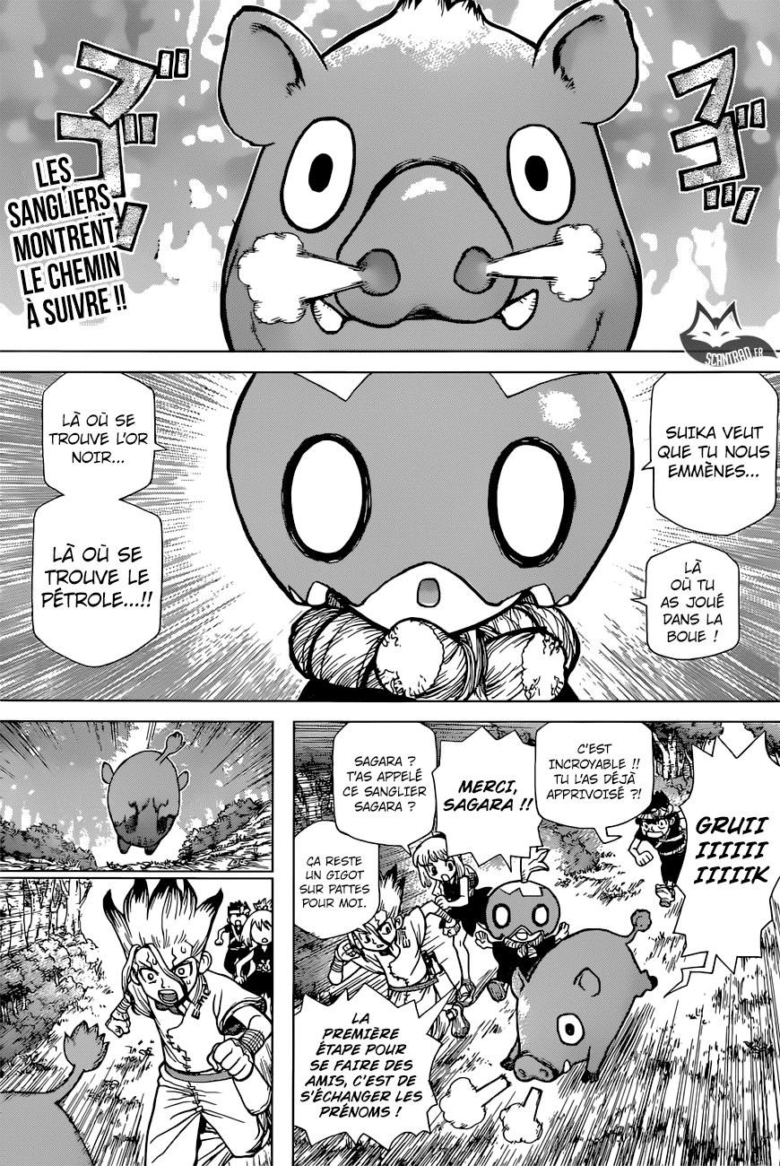  Dr. Stone Français - Dr. Stone 95 Premier Contact - 4