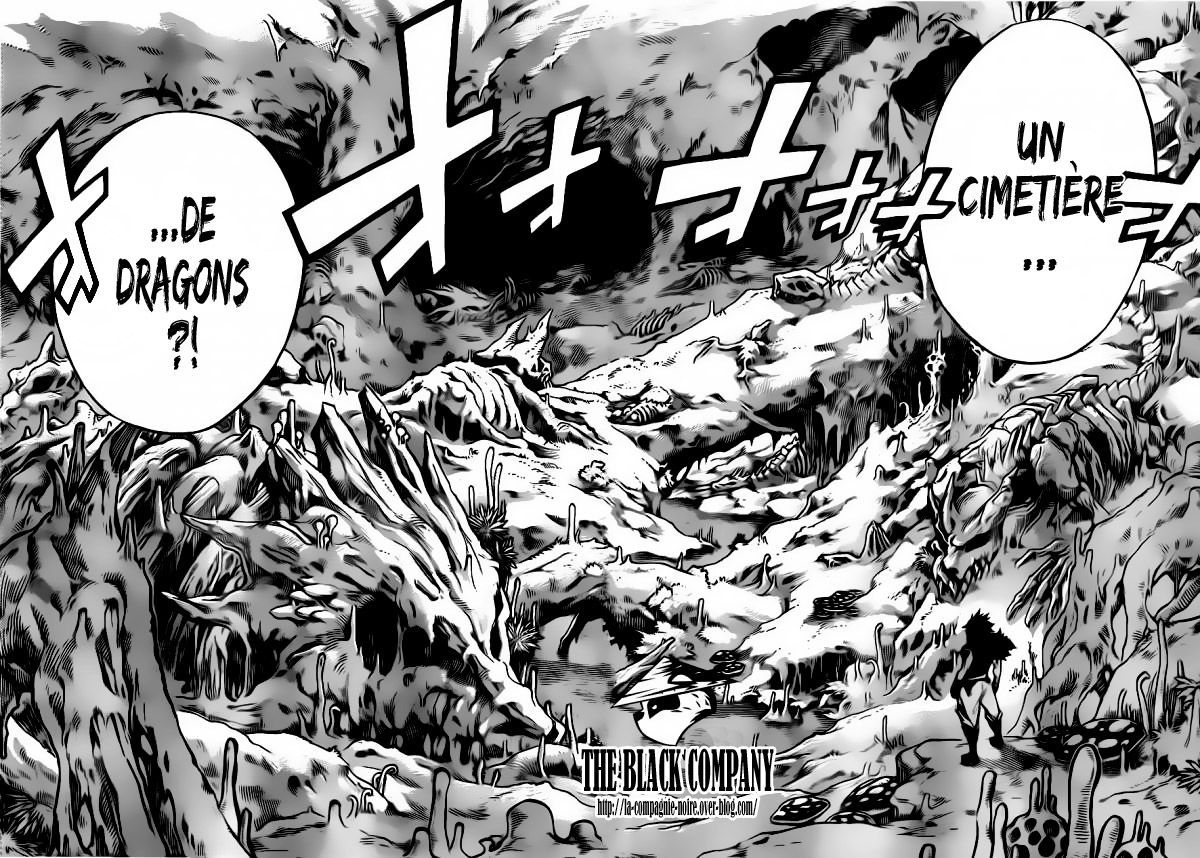  Fairy Tail Français - Fairy Tail 297 chapitre 297 - 10