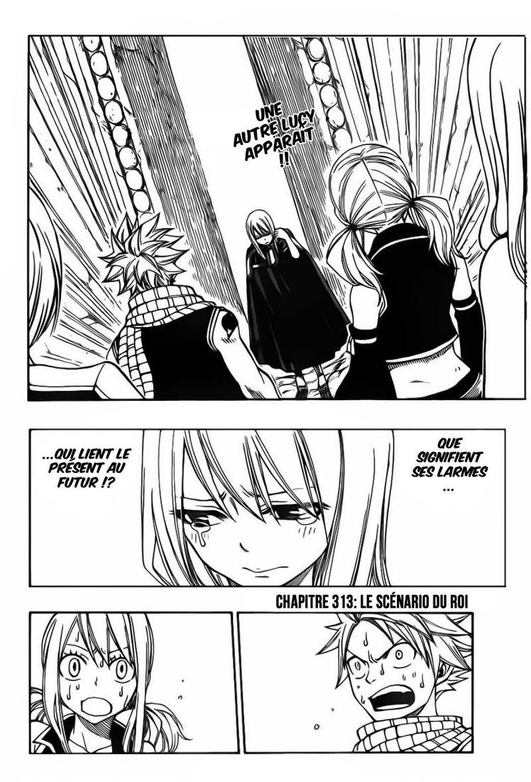  Fairy Tail Français - Fairy Tail 313 chapitre 313 - 2