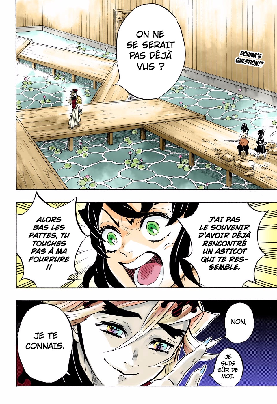  Kimetsu No Yaiba Français - Kimetsu No Yaiba 160 Traits similaires, souvenirs ravivés - 2