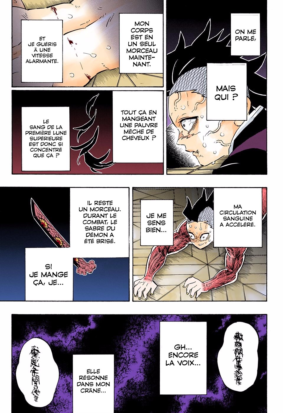  Kimetsu No Yaiba Français - Kimetsu No Yaiba 171 Transformation - 3