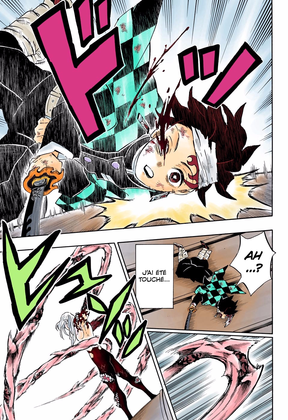  Kimetsu No Yaiba Français - Kimetsu No Yaiba 182 Rage - 12