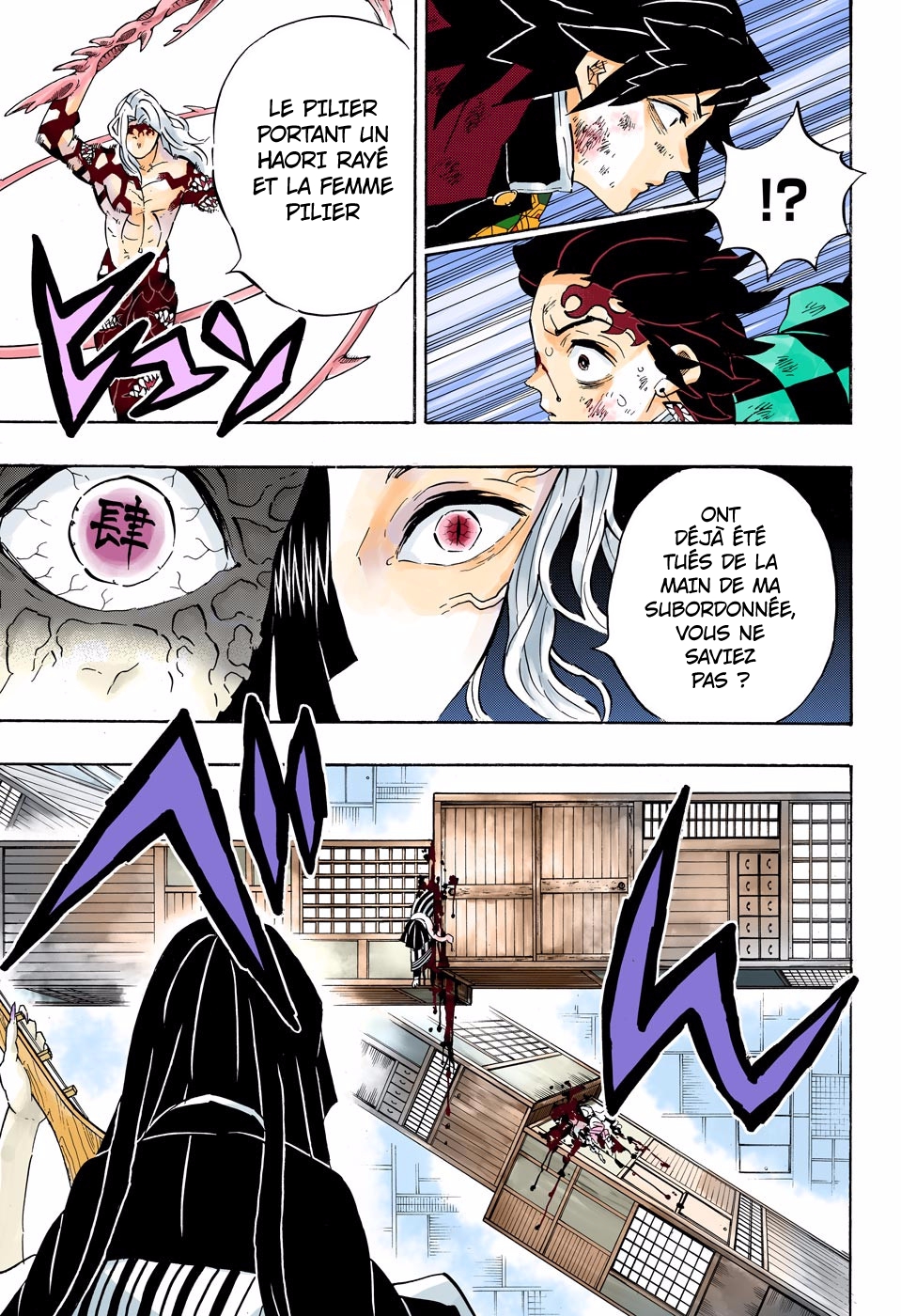  Kimetsu No Yaiba Français - Kimetsu No Yaiba 182 Rage - 14