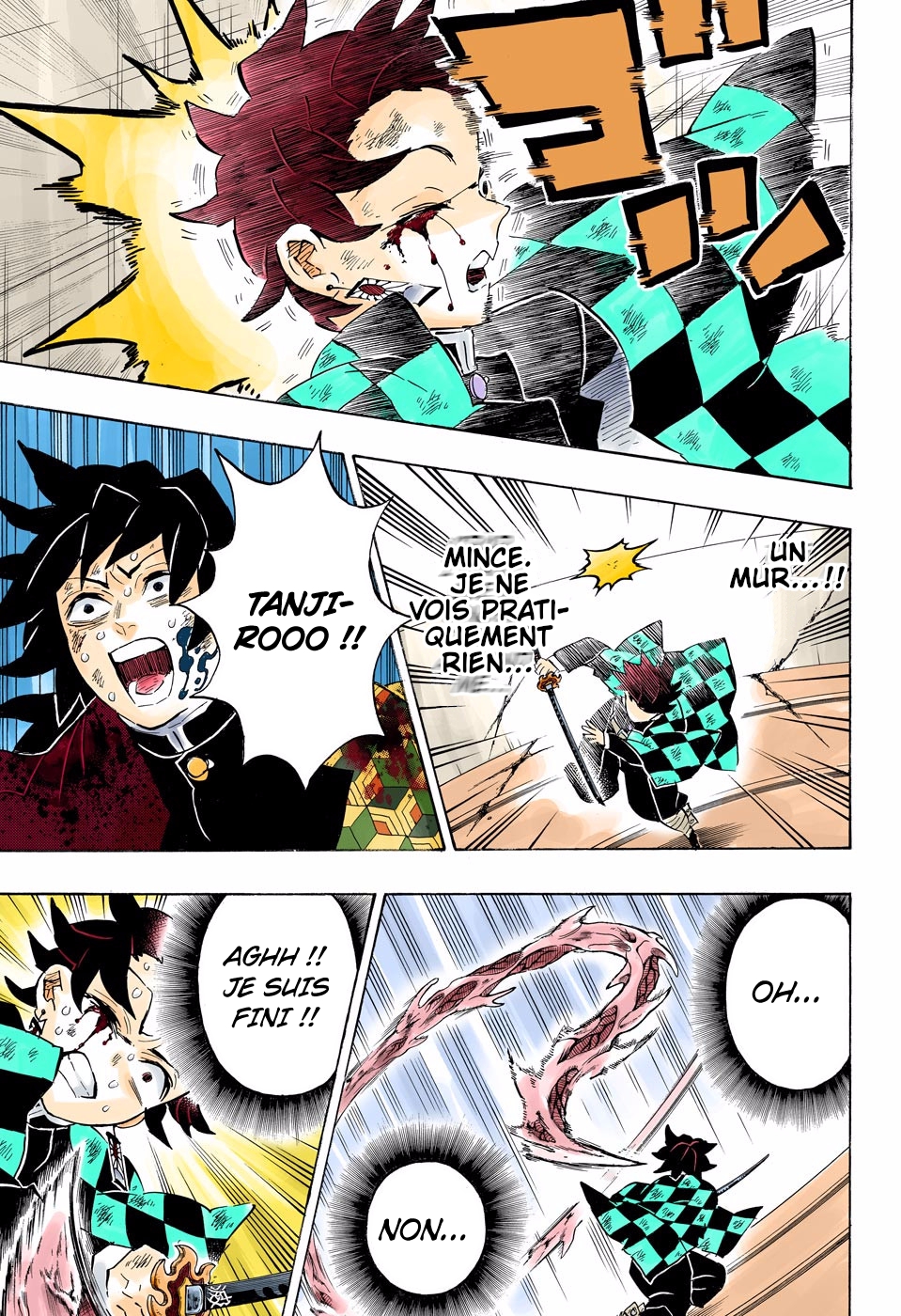  Kimetsu No Yaiba Français - Kimetsu No Yaiba 182 Rage - 18