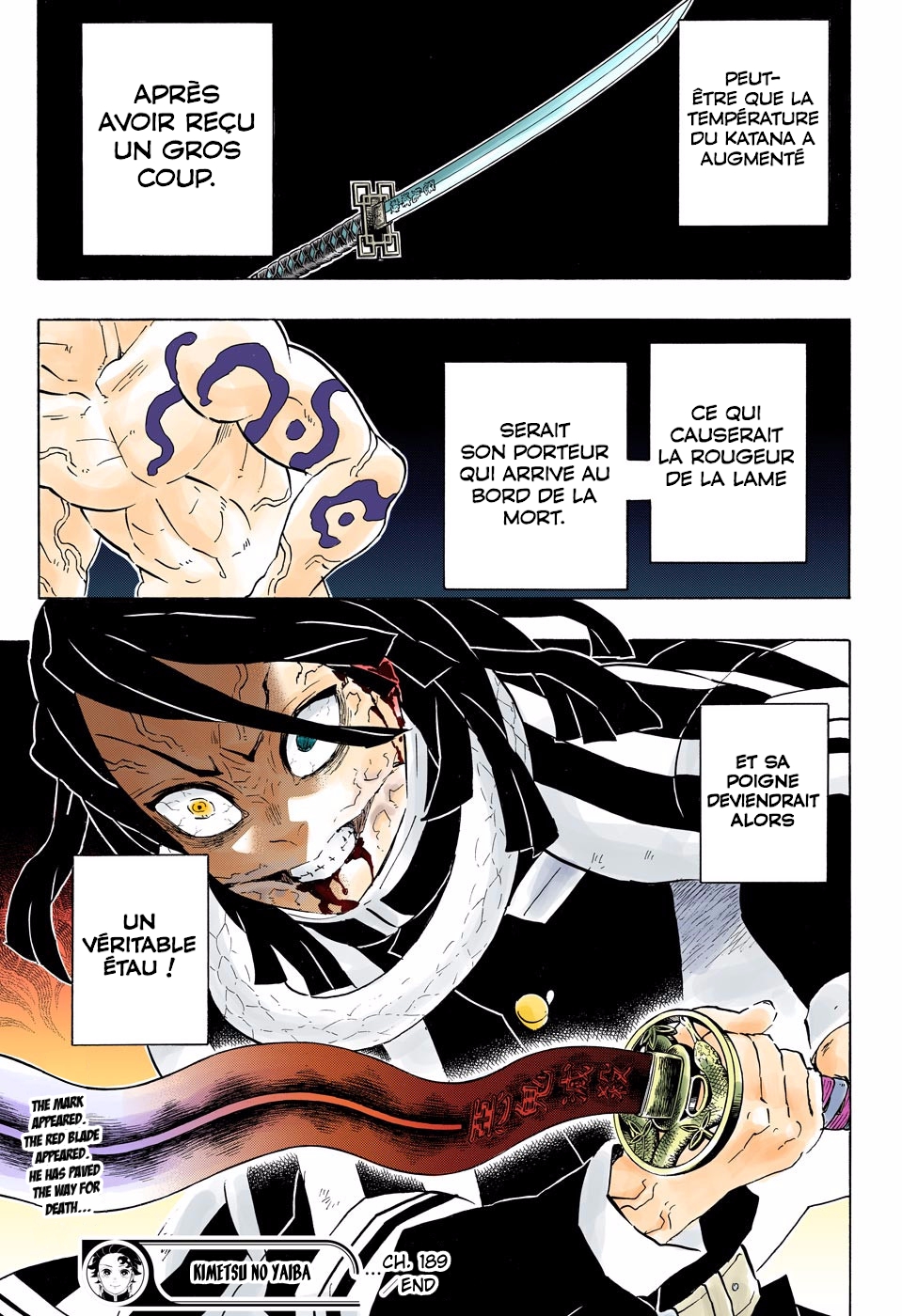  Kimetsu No Yaiba Français - Kimetsu No Yaiba 189 Des amis rassurants - 20