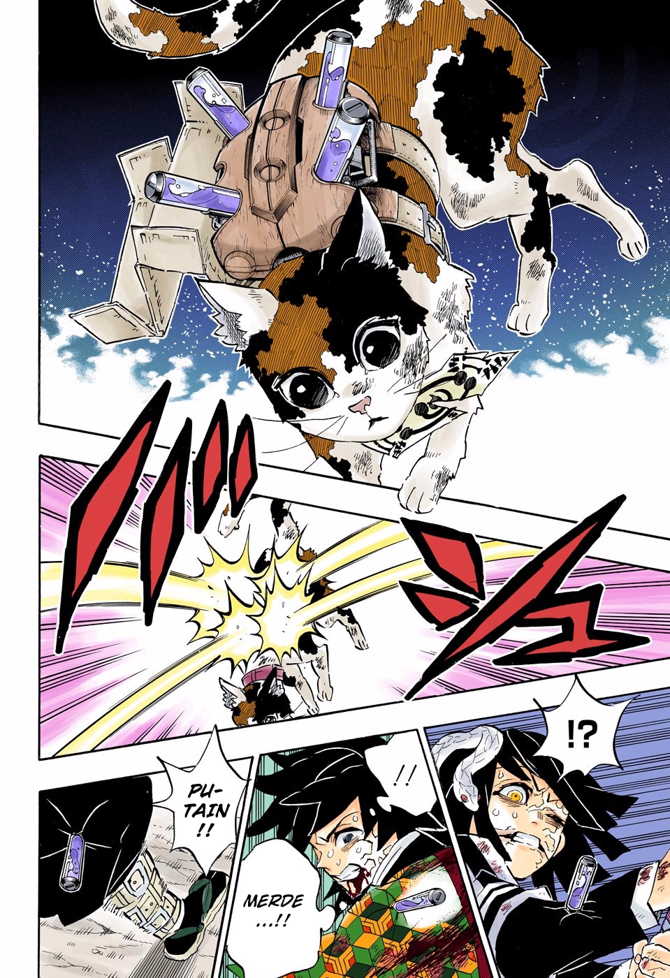  Kimetsu No Yaiba Français - Kimetsu No Yaiba 189 Des amis rassurants - 13