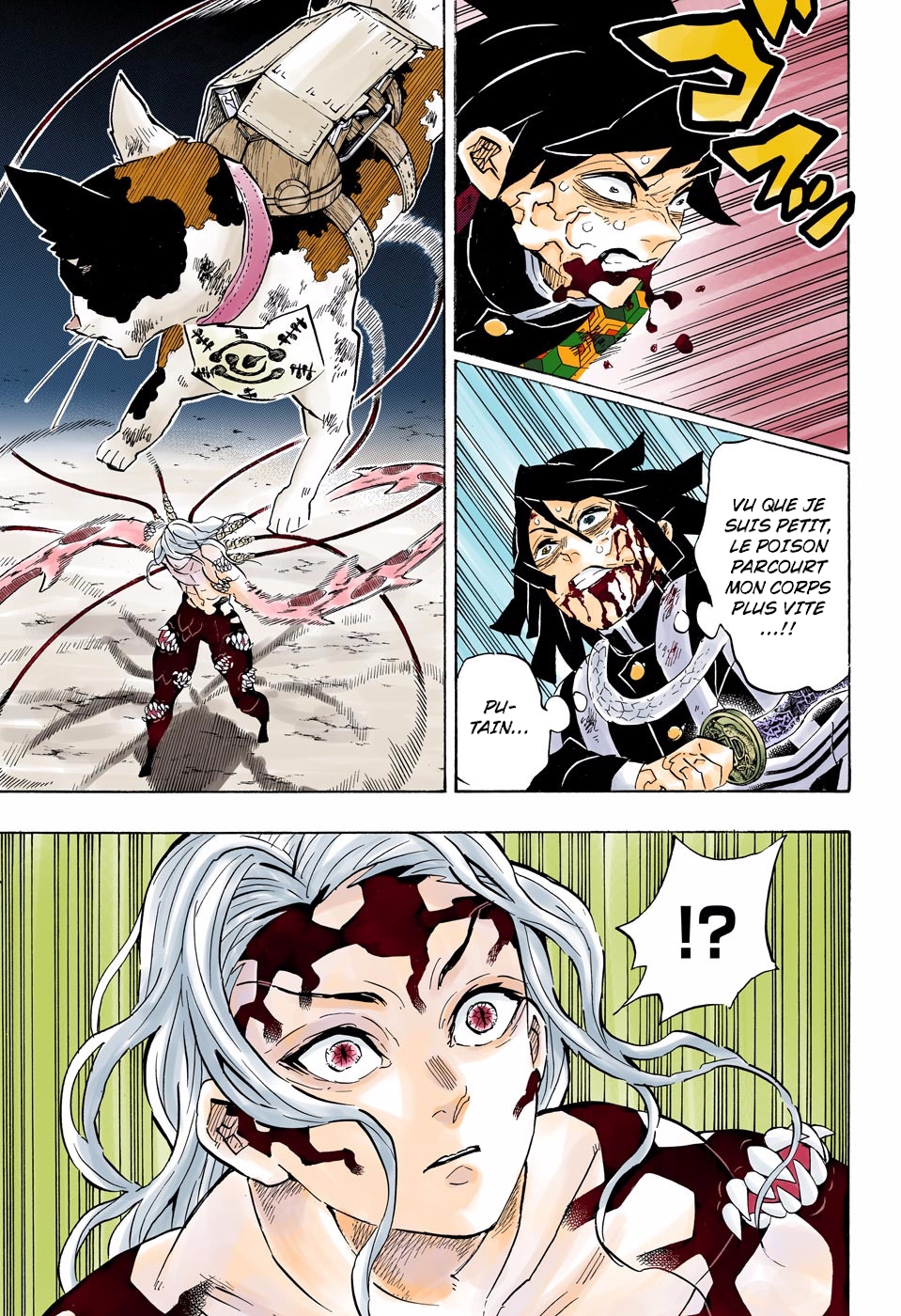  Kimetsu No Yaiba Français - Kimetsu No Yaiba 189 Des amis rassurants - 12