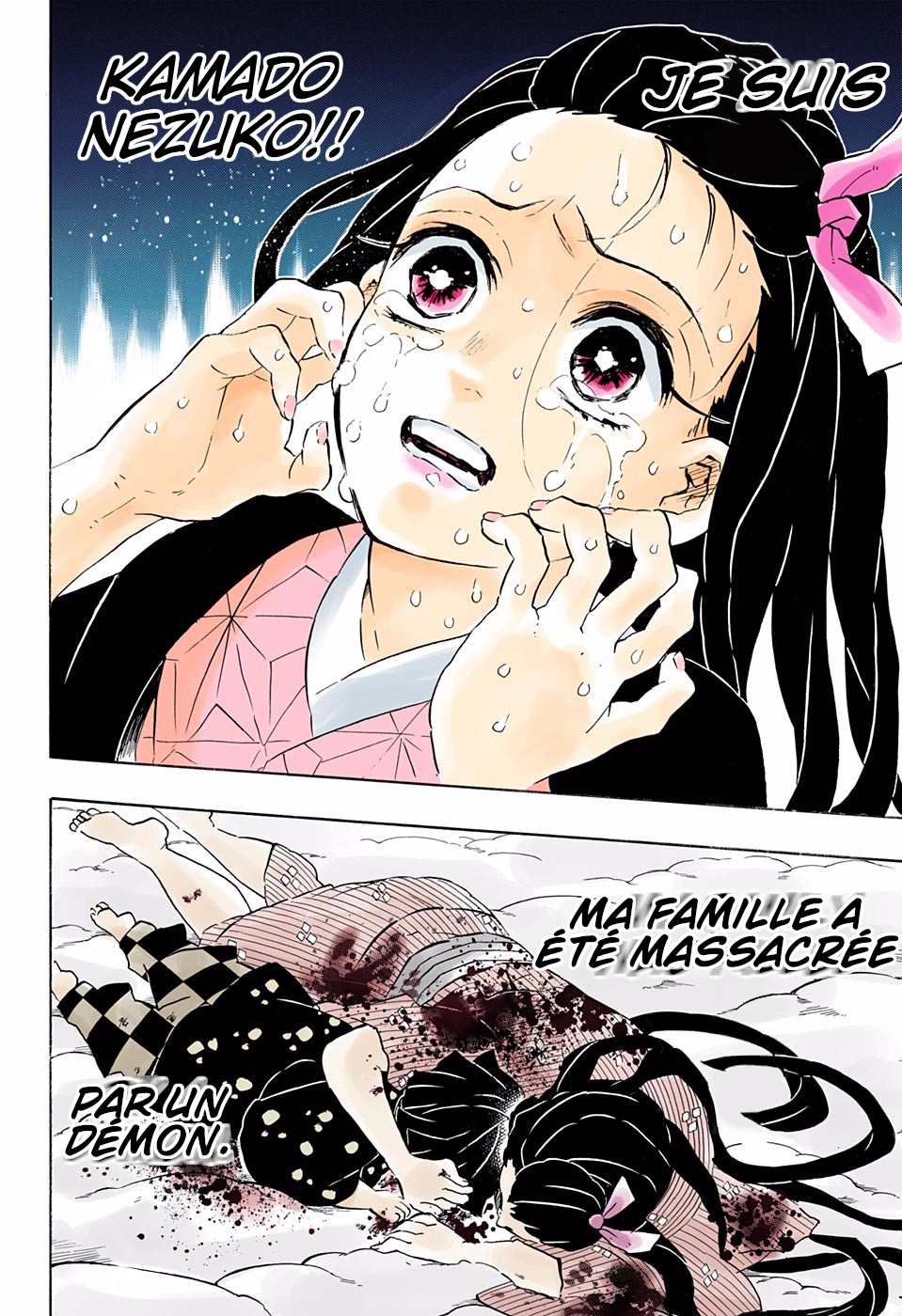  Kimetsu No Yaiba Français - Kimetsu No Yaiba 196 Je suis - 12