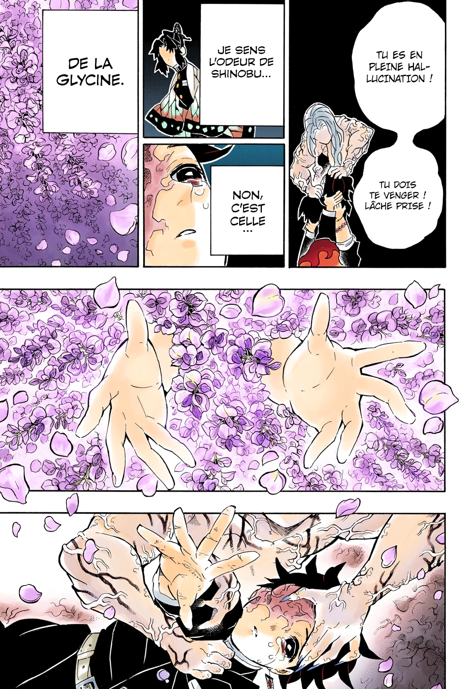  Kimetsu No Yaiba Français - Kimetsu No Yaiba 203 Des voix encouragement - 9