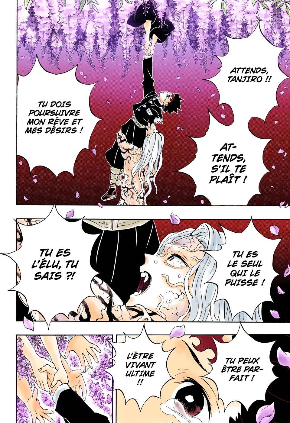  Kimetsu No Yaiba Français - Kimetsu No Yaiba 203 Des voix encouragement - 12