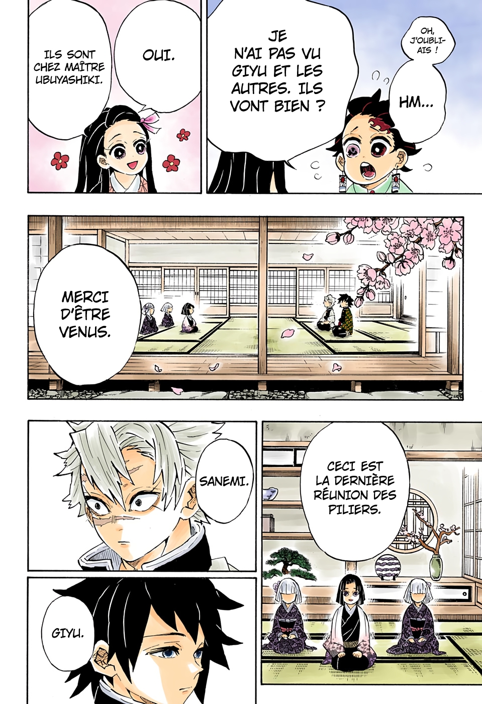  Kimetsu No Yaiba Français - Kimetsu No Yaiba 204 Un monde sans démons - 12