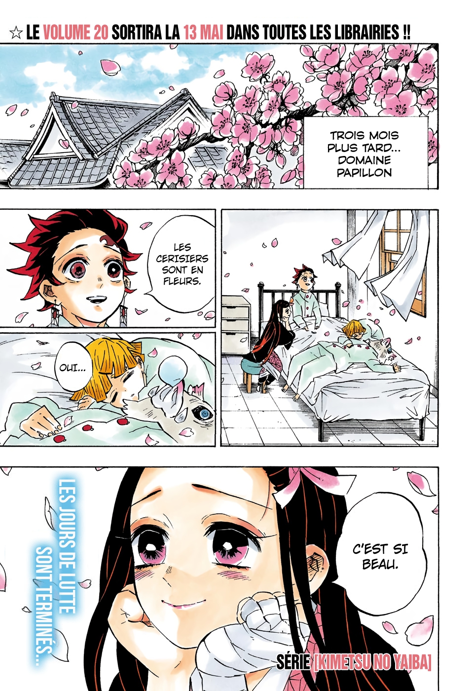  Kimetsu No Yaiba Français - Kimetsu No Yaiba 204 Un monde sans démons - 4