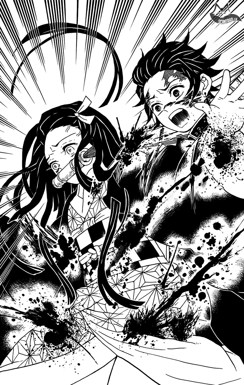  Kimetsu No Yaiba Français - Kimetsu No Yaiba 38 Factice et authentique - 8