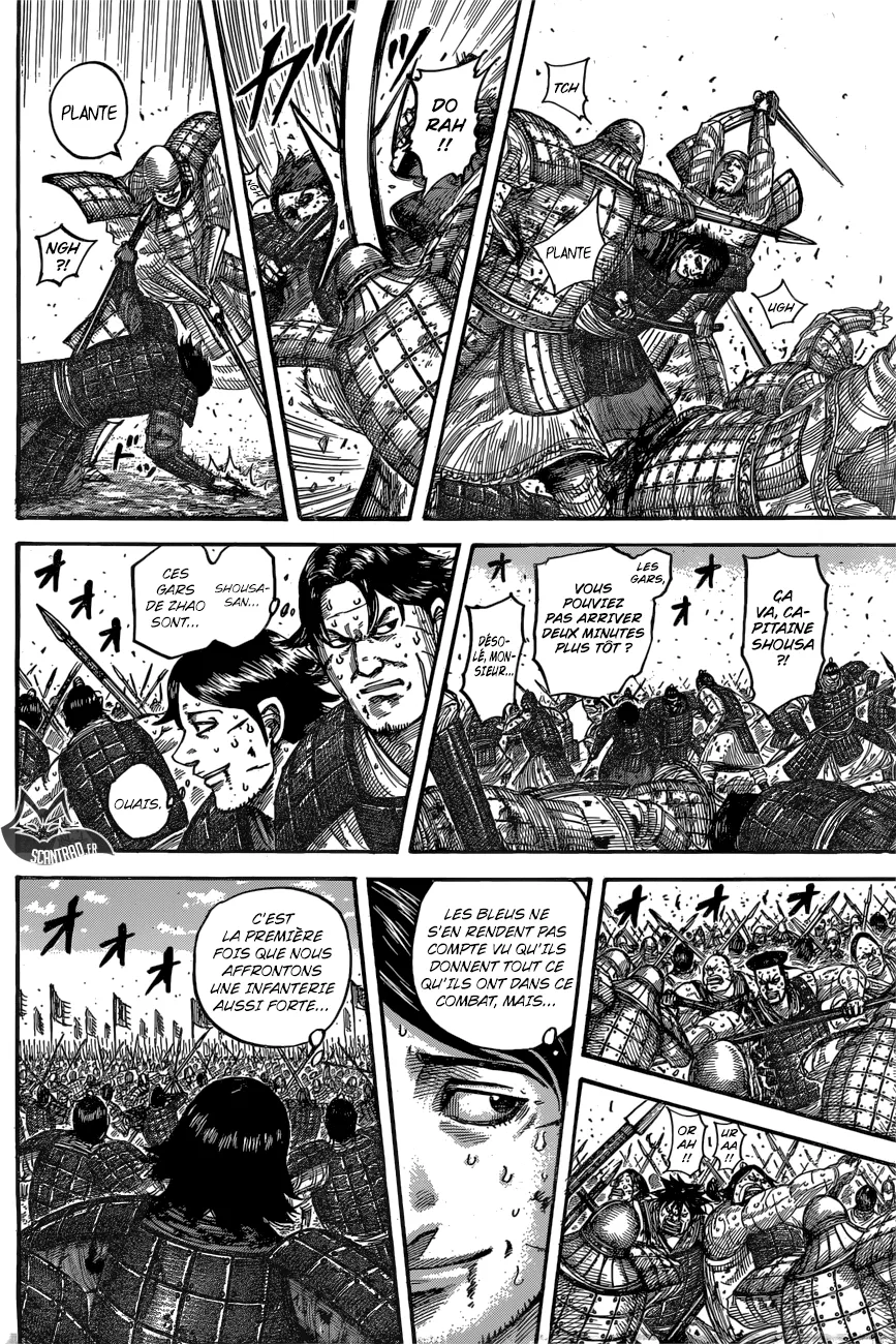  Kingdom Français - Kingdom 545 Instinct - 2