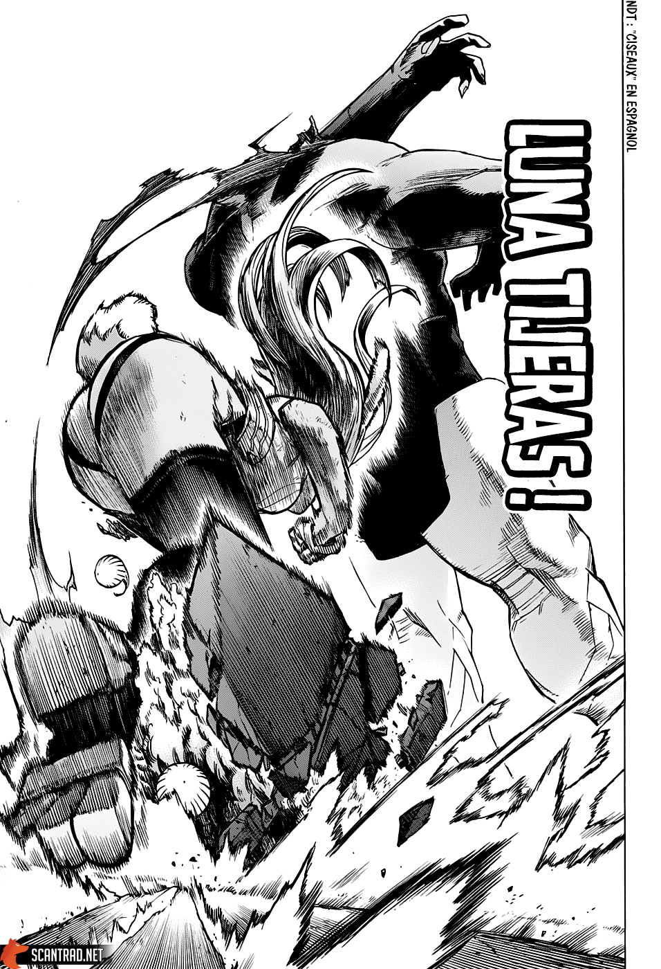  My Hero Academia Français - My Hero Academia 262 Mirko, l'héroîne N°5 - 15