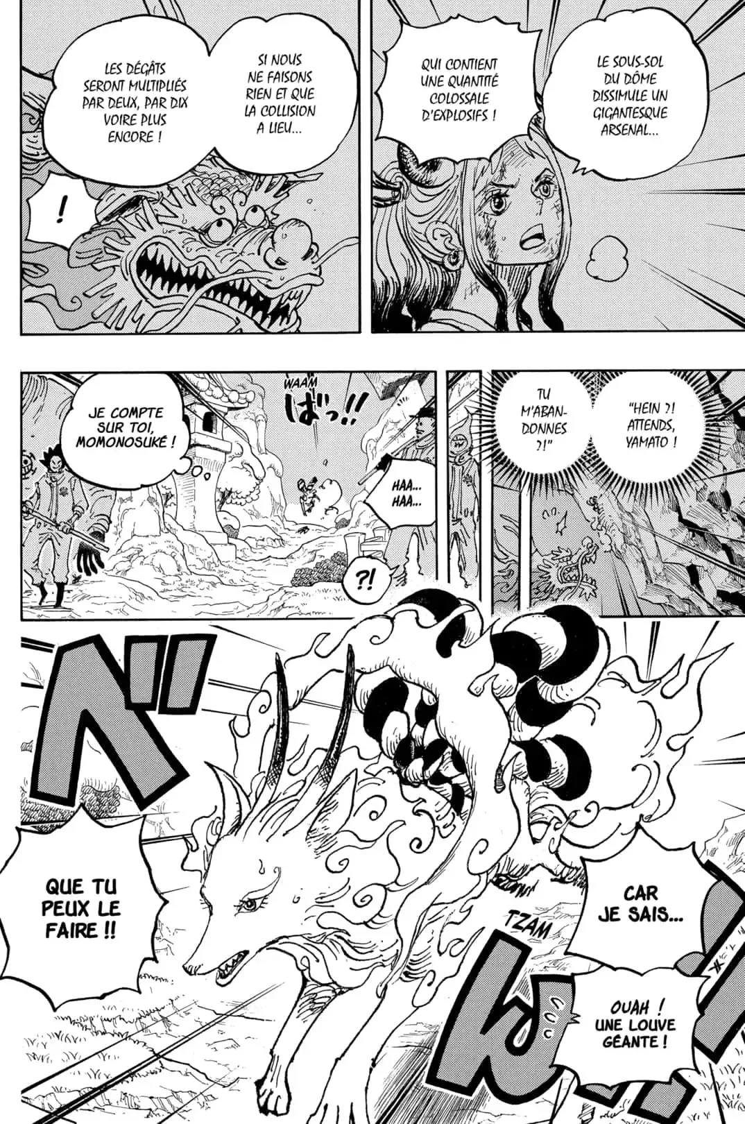  One Piece Français - One Piece 1028 Brachioreptilaurus - 9