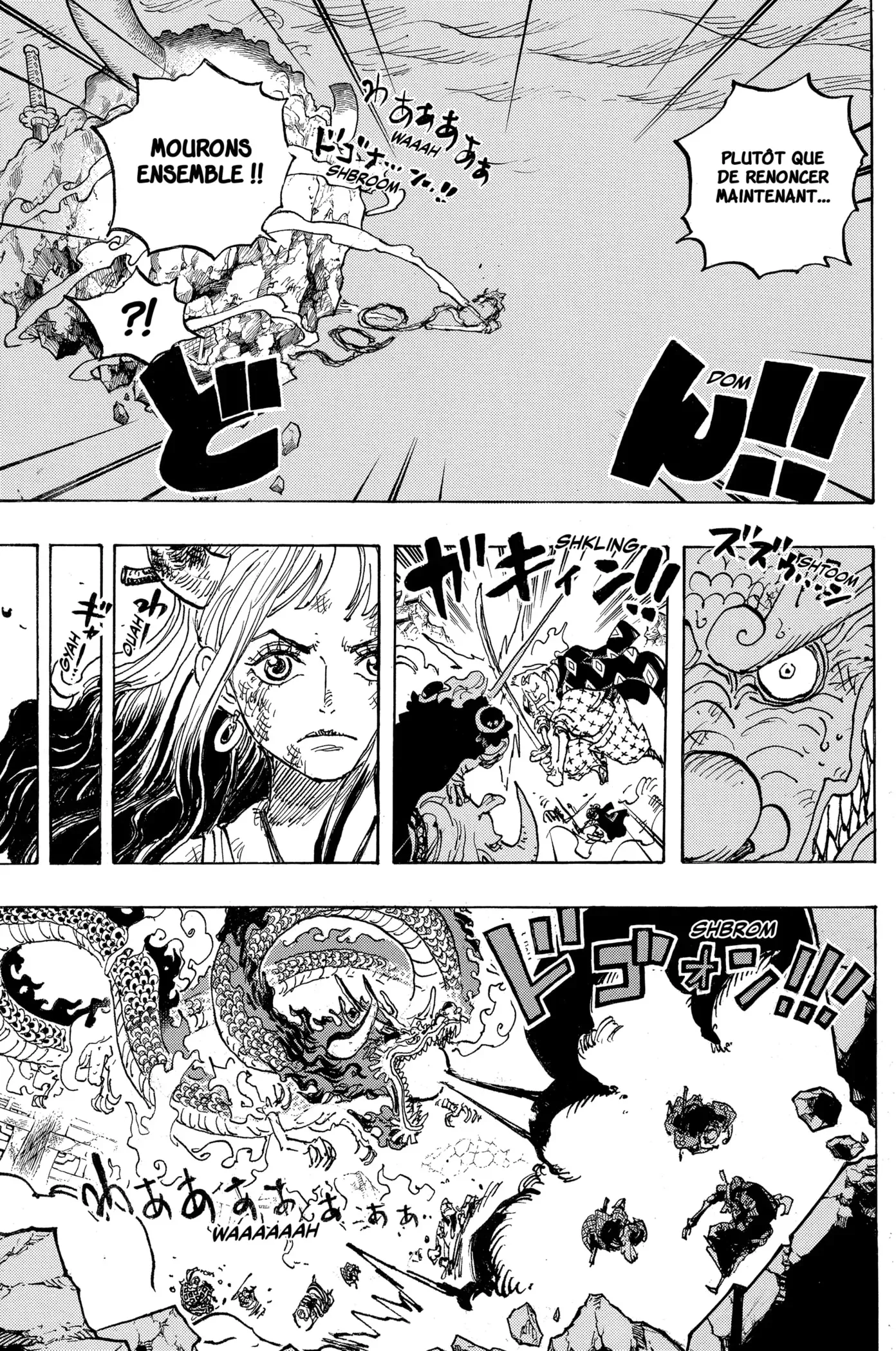  One Piece Français - One Piece 1043 Nous mourrons ensemble ! - 14