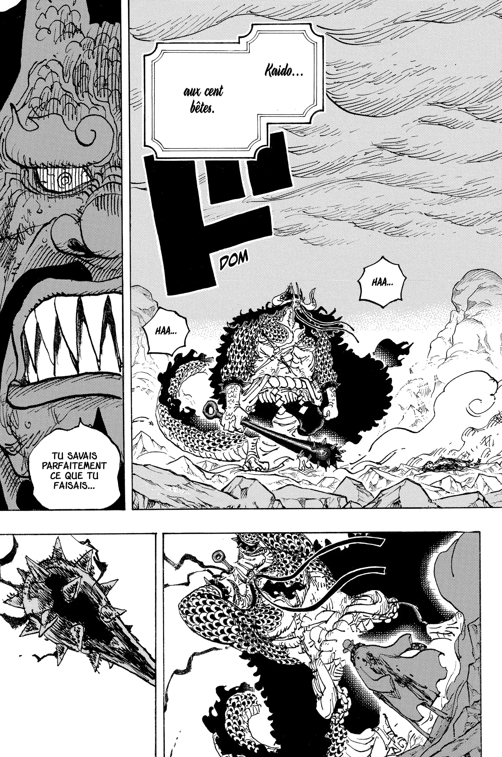  One Piece Français - One Piece 1043 Nous mourrons ensemble ! - 5