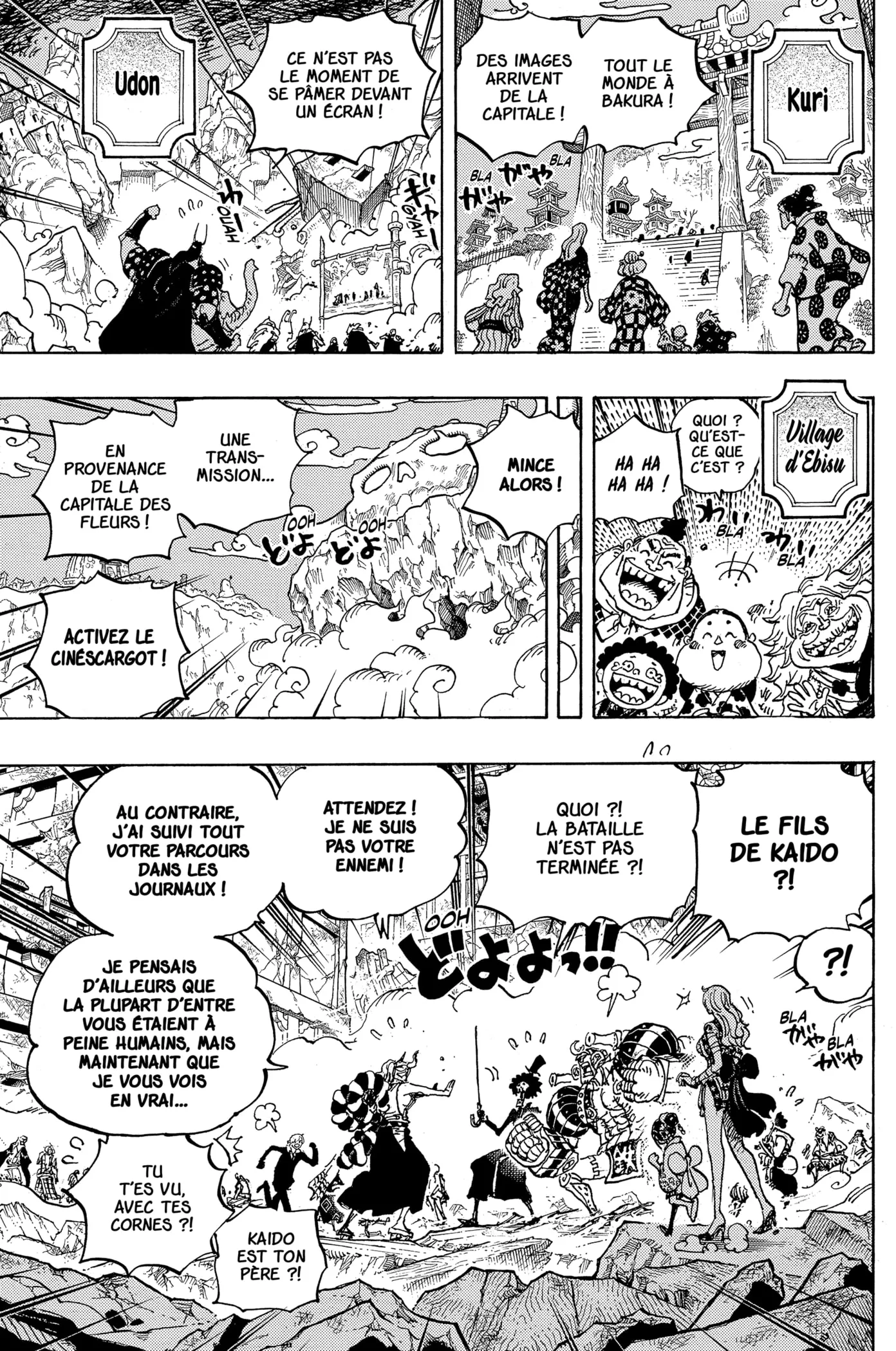  One Piece Français - One Piece 1051 Momonosuké kozuki, Shogun de wano - 5