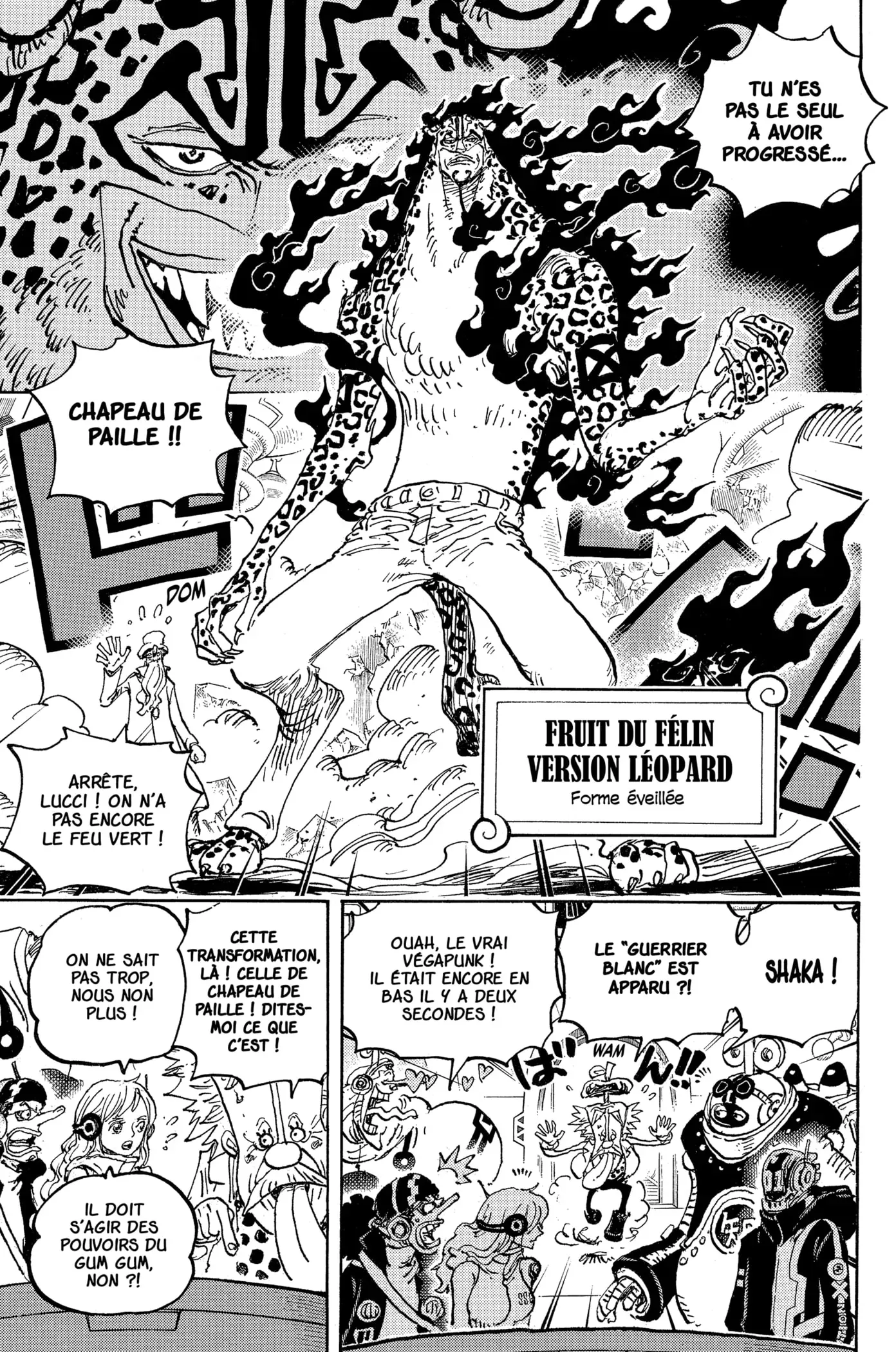  One Piece Français - One Piece 1069 Tout ce qui naît en ce monde a été désiré - 7