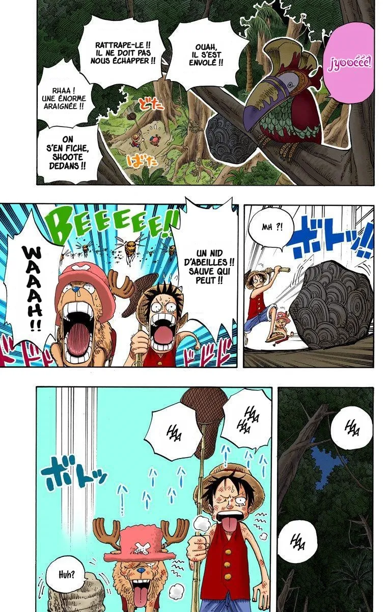  One Piece Français - One Piece 230 A la recherche de south bird (en couleurs) - 17