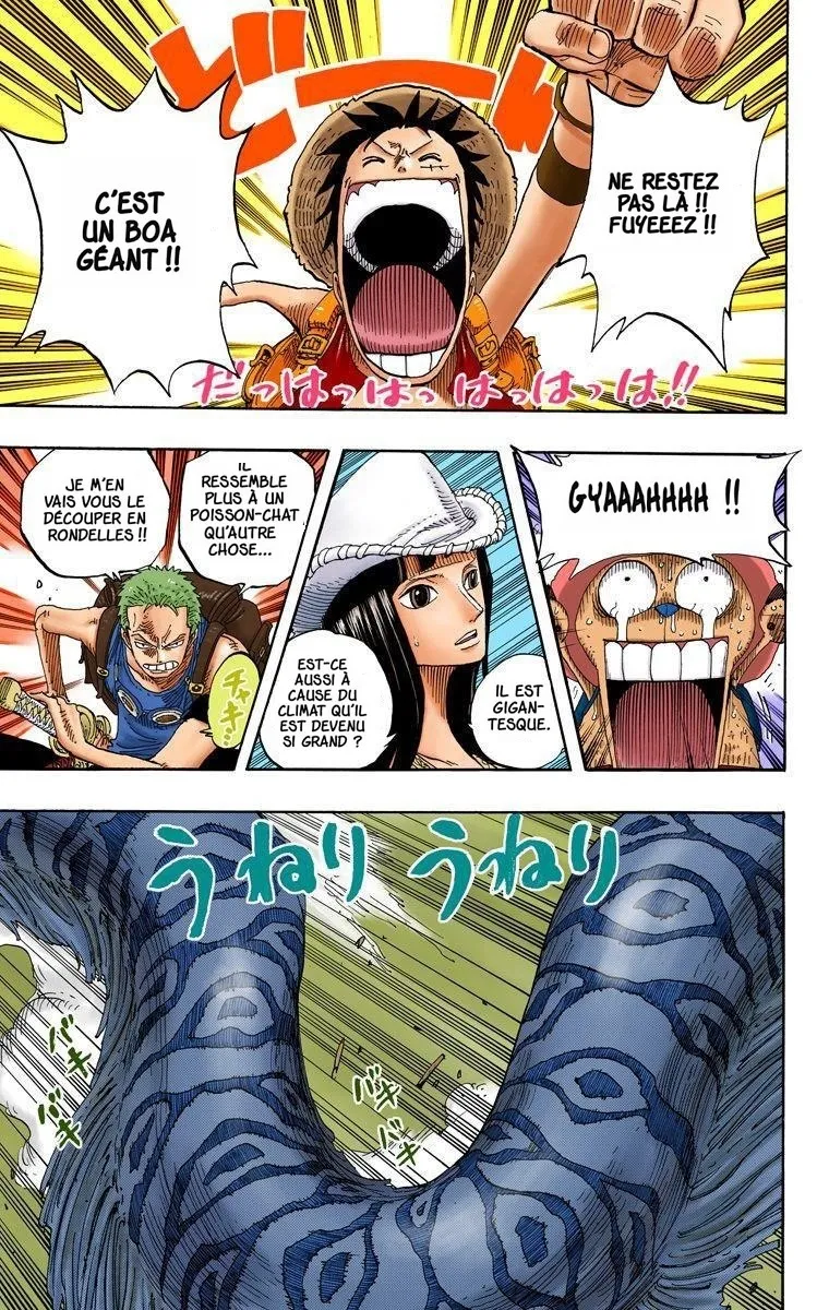  One Piece Français - One Piece 255 L'anaconda et l'équipe d'exploration (en couleurs) - 13