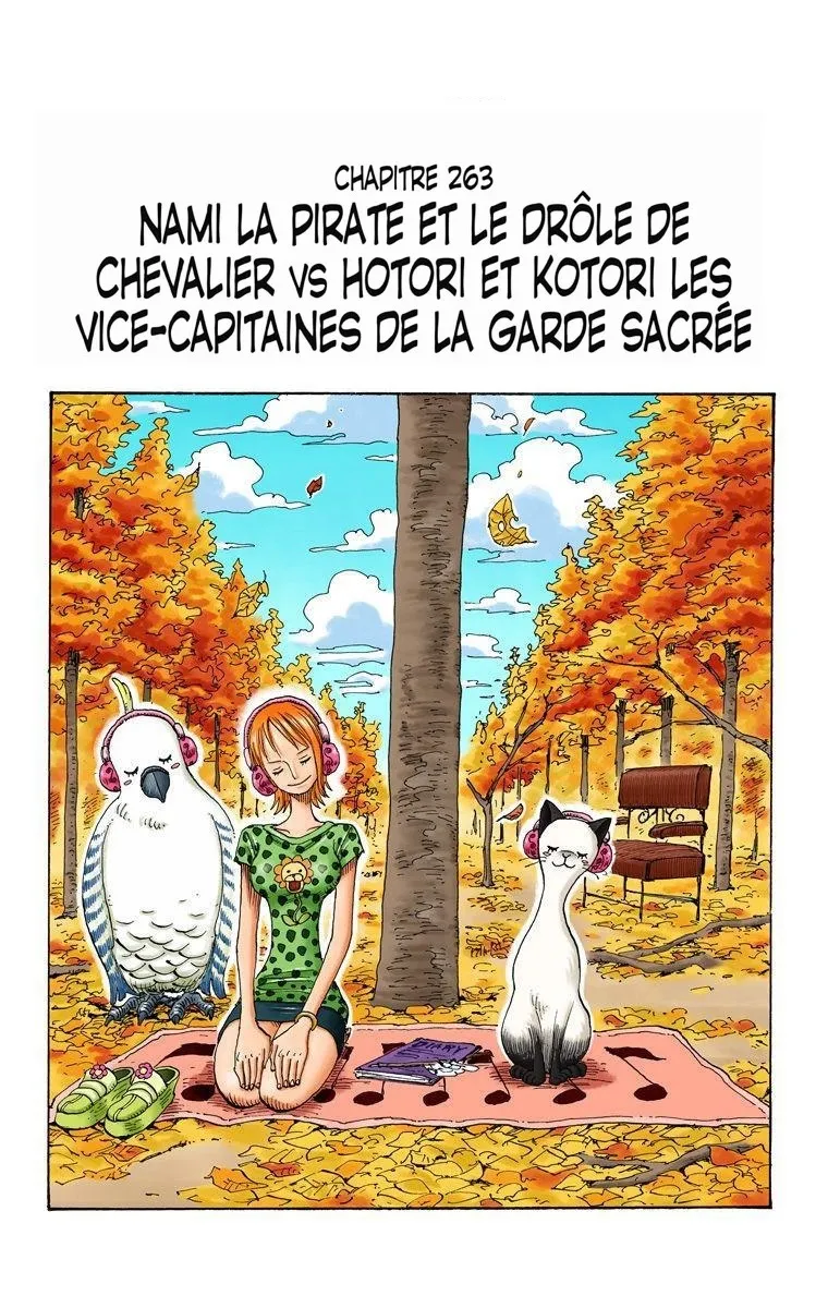  One Piece Français - One Piece 263 Nami la pirate & le chevalier du ciel Vs les chefs en second de la Sainte Garde Hotori & Kotori (en co - 1