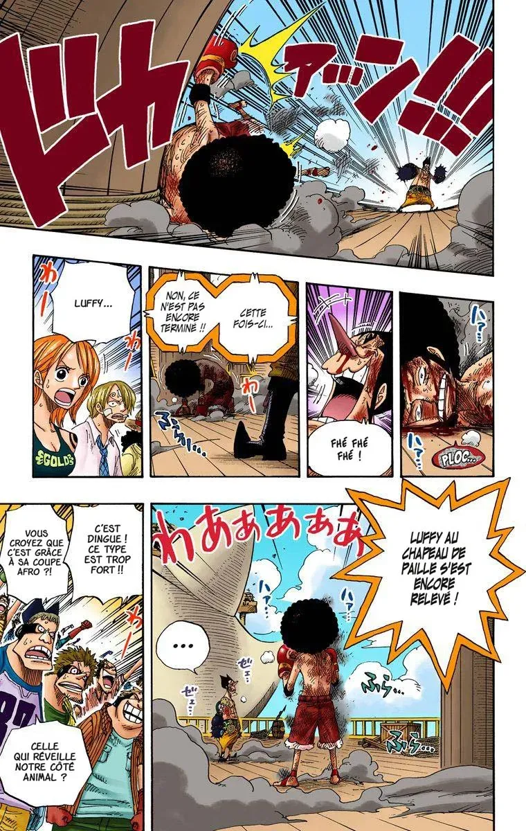  One Piece Français - One Piece 316 Âme fraternelle (en couleurs) - 17