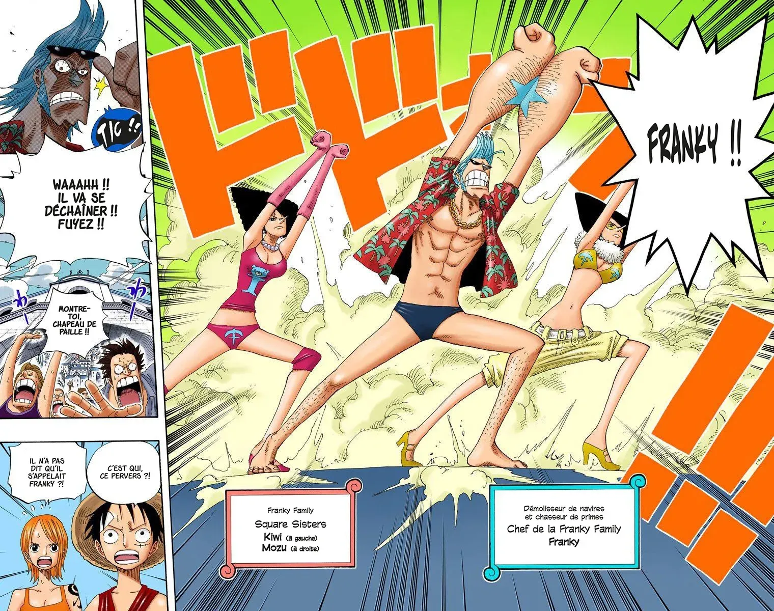  One Piece Français - One Piece 335 Warning (en couleurs) - 14