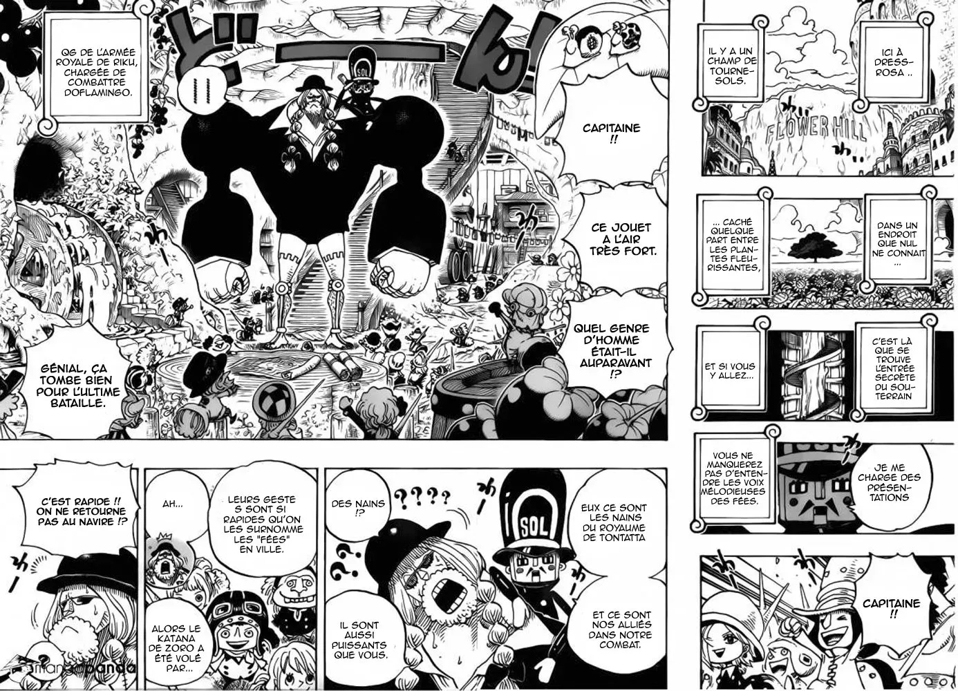  One Piece Français - One Piece 718 L'armée royale de Riku au champ de fleur - 7