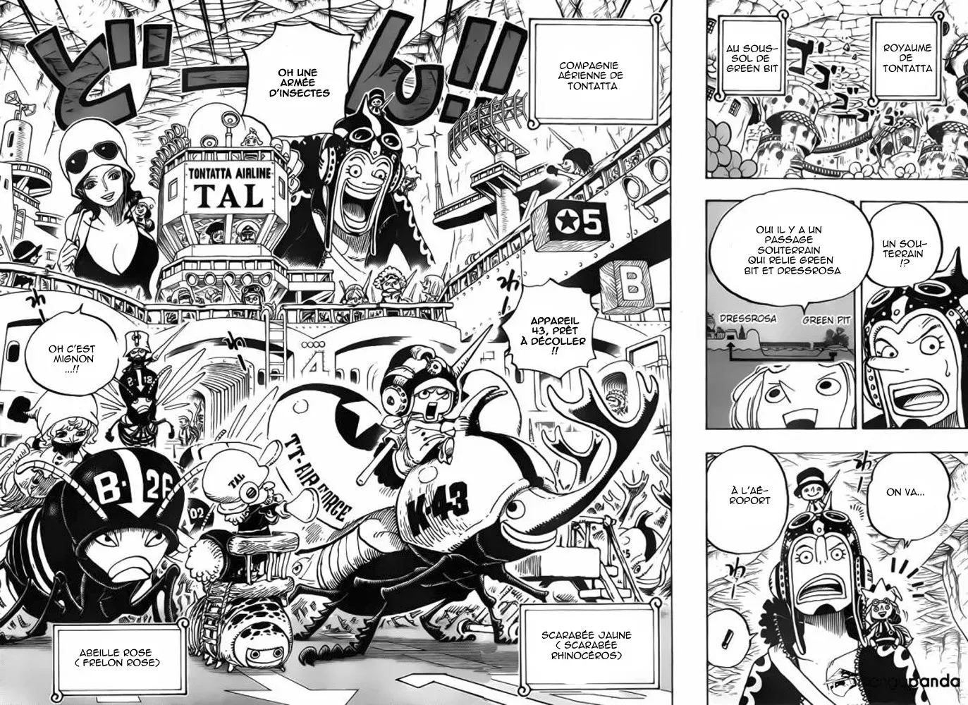  One Piece Français - One Piece 718 L'armée royale de Riku au champ de fleur - 2