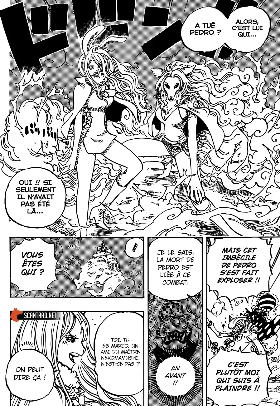  One Piece Français - One Piece 995 La promesse de la Kunoichi - 5